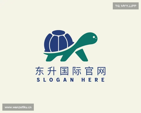 介绍东升国际官网