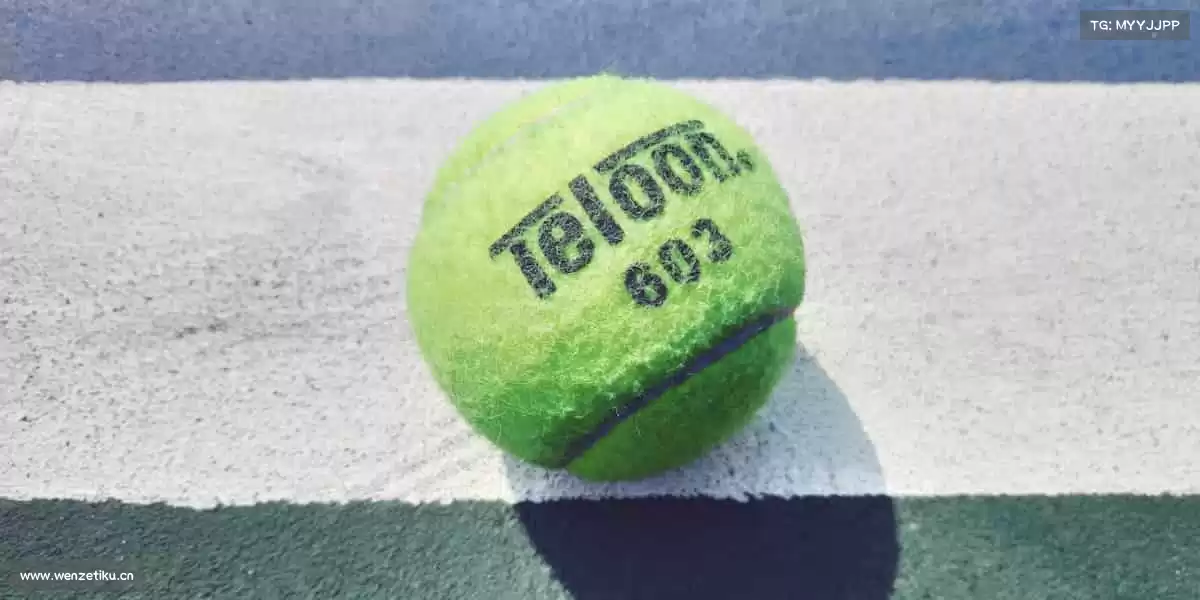 行业领先的理由